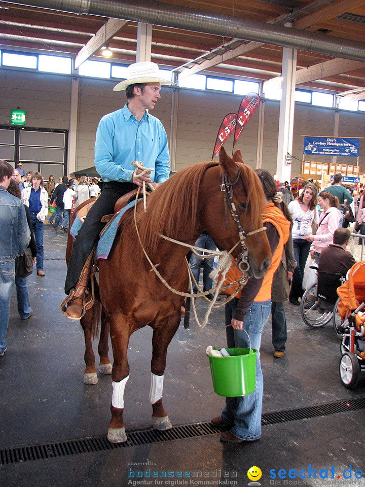 Pferd Bodensee 2008