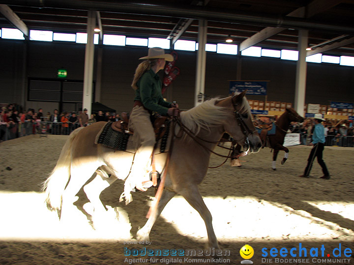 Pferd Bodensee 2008