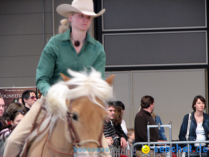 Pferd Bodensee 2008