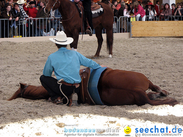 Pferd Bodensee 2008