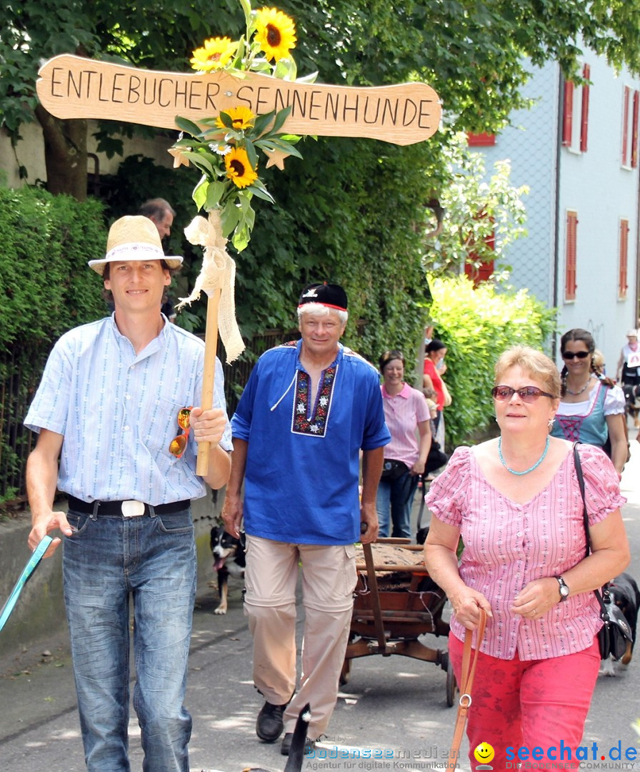 Jodlerfest in Gossau, SG - Schweiz, 03.07.2016