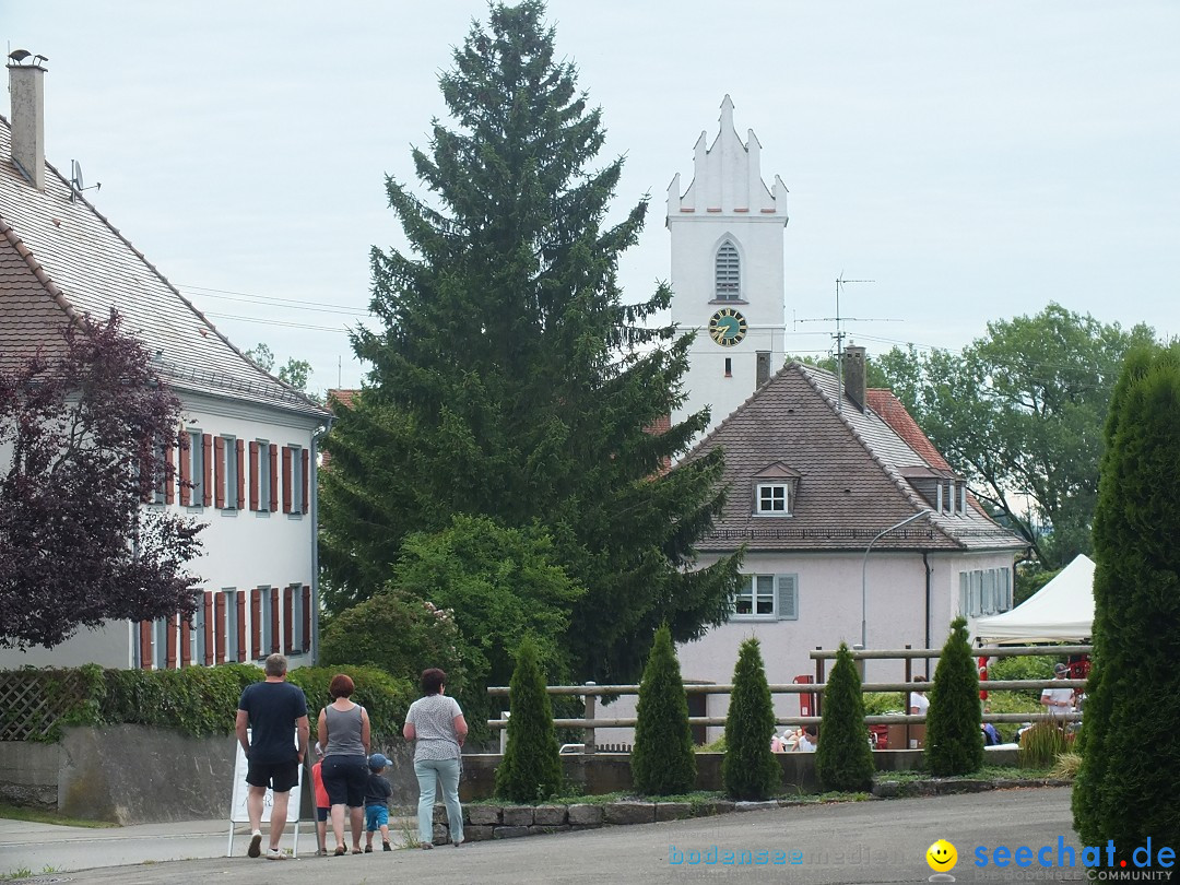 Hof-Flohmarkt in Kanzach, 10.07.2016