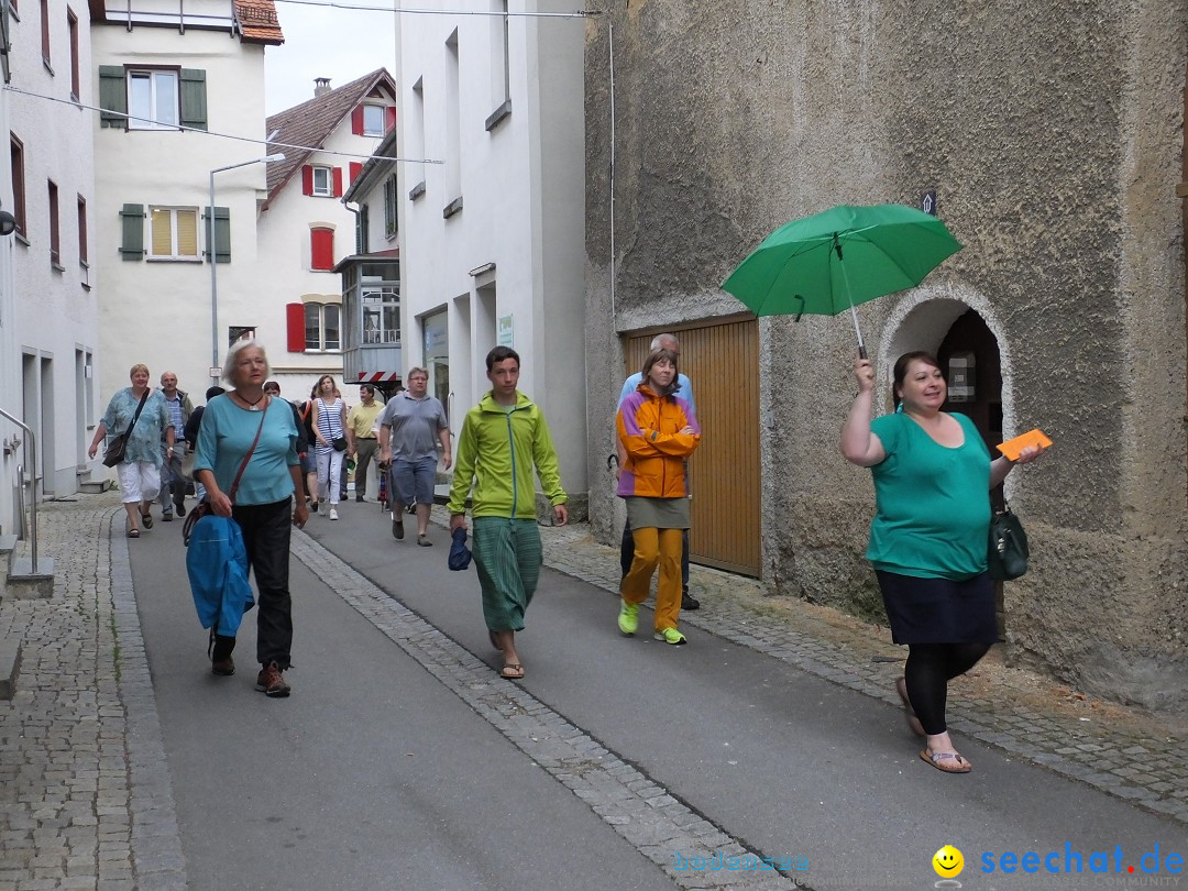 Theatersommer: Riedlingen, 11.07.2016