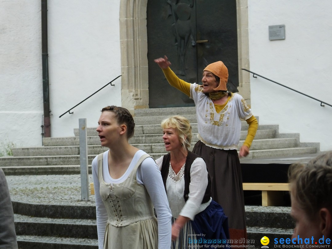 Theatersommer: Riedlingen, 11.07.2016