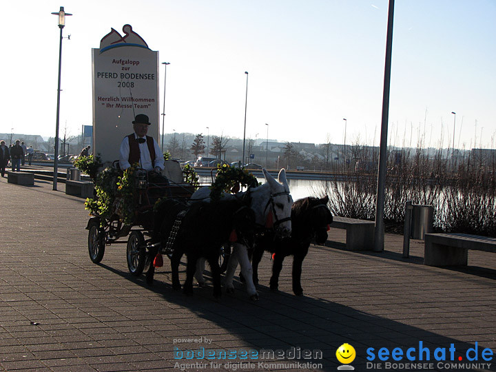 Pferd Bodensee 2008