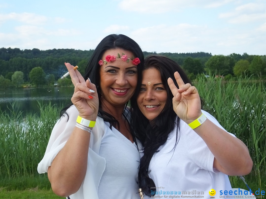 HOLI AM SEE - Holifestival in Mengen, 16.07.2016