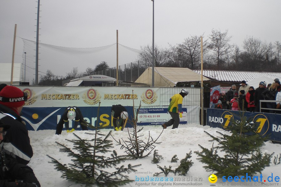 Schneeballschlacht-Weltcup am Bodensee: Langenargen, 09.01.2010