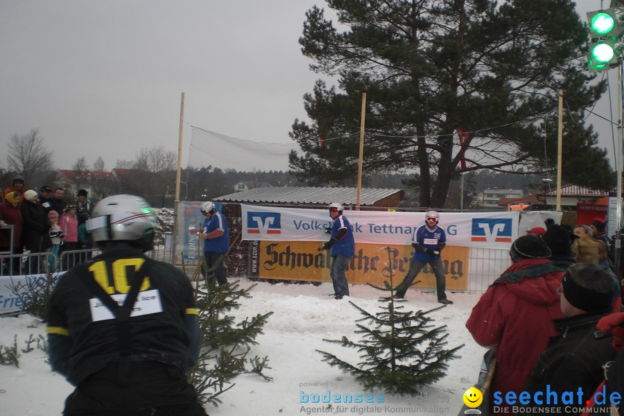 Schneeballschlacht-Weltcup am Bodensee: Langenargen, 09.01.2010