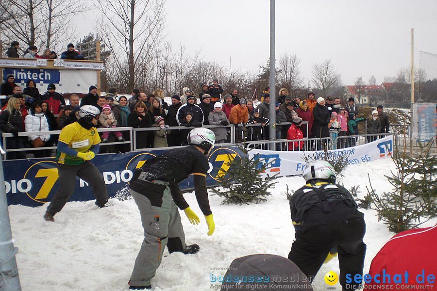 Schneeballschlacht-Weltcup am Bodensee: Langenargen, 09.01.2010