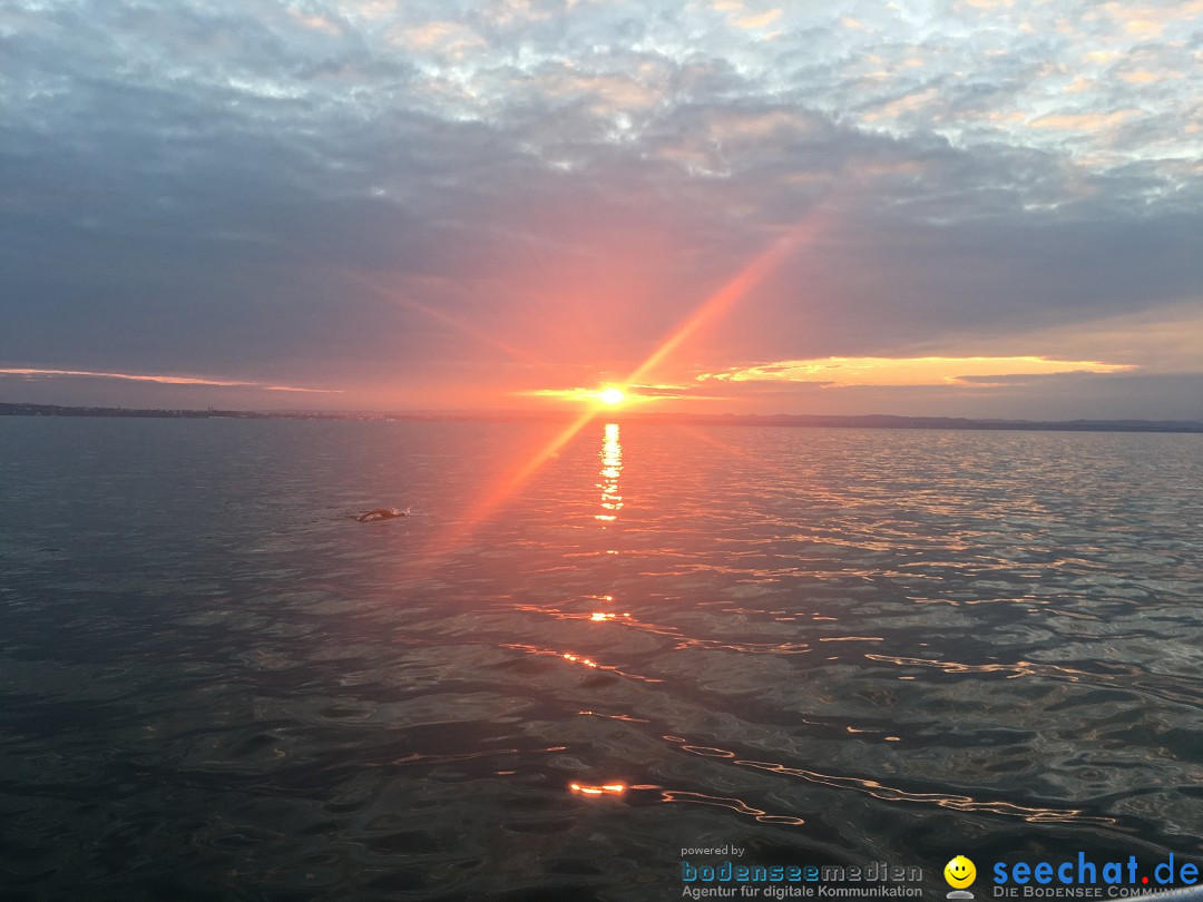 Hamza-Bakircioglu-Bodensee-Laengsquerung-2017-07-16u17-Bodensee-Community-SEECHAT_DE-IMG_5483.PNG