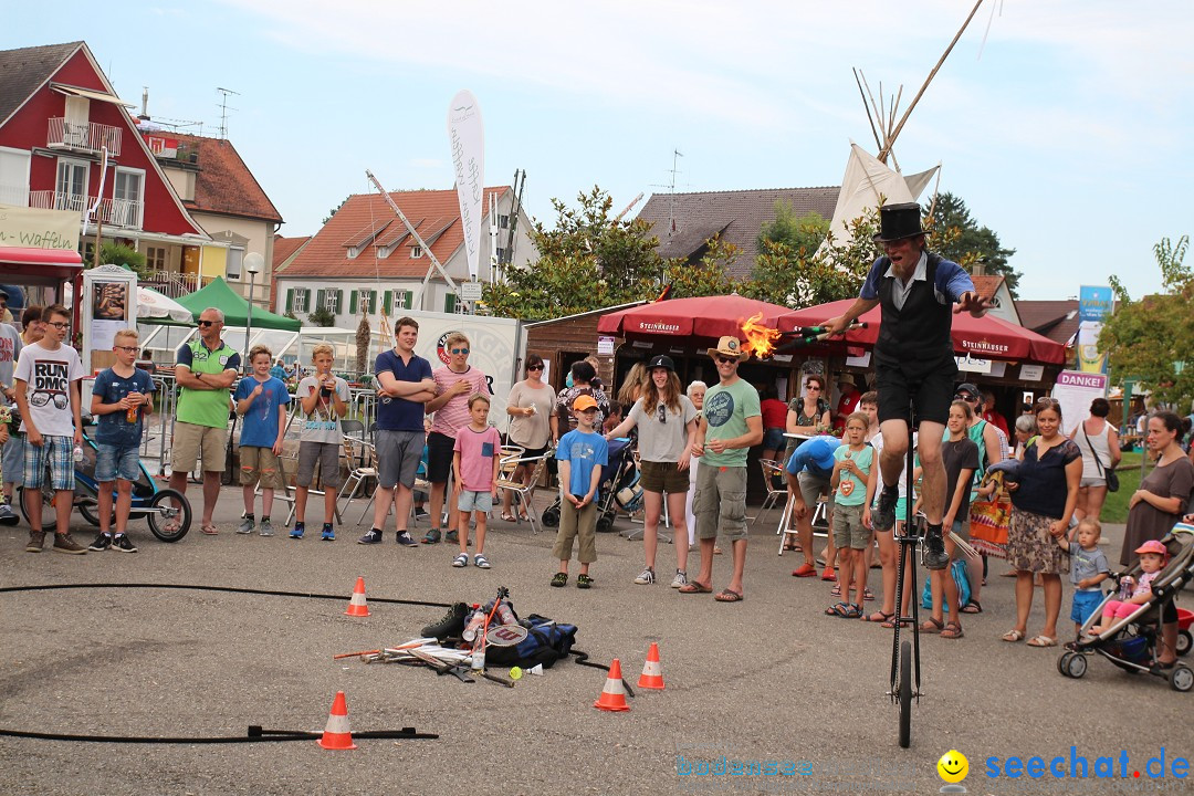 Uferfest mit Feuerwerk: Langenargen am Bodensee, 30.07.2016