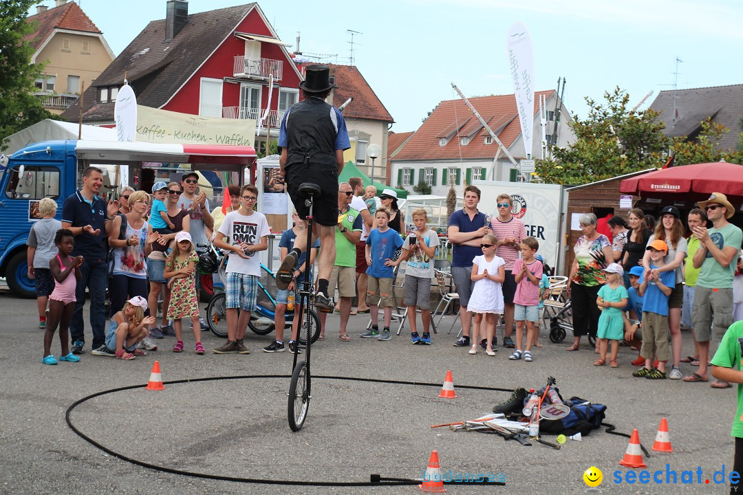 Uferfest mit Feuerwerk: Langenargen am Bodensee, 30.07.2016