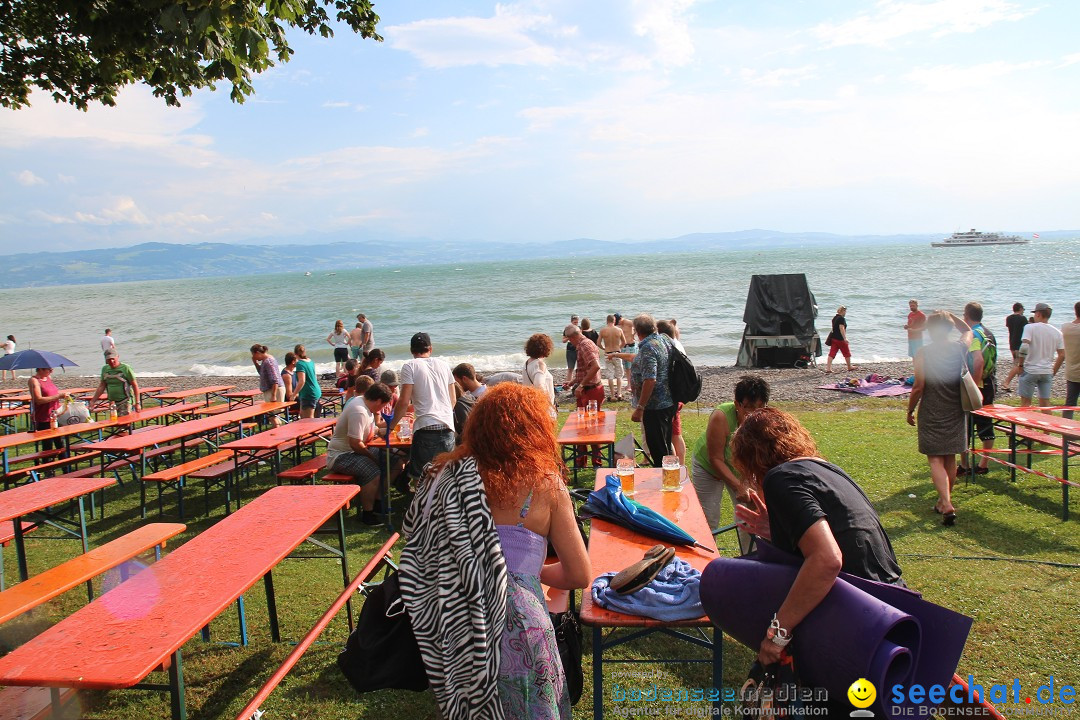 Uferfest mit Feuerwerk: Langenargen am Bodensee, 30.07.2016