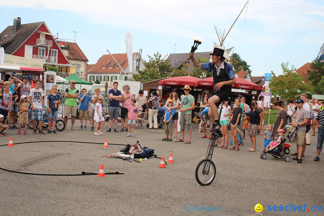 Uferfest mit Feuerwerk: Langenargen am Bodensee, 30.07.2016