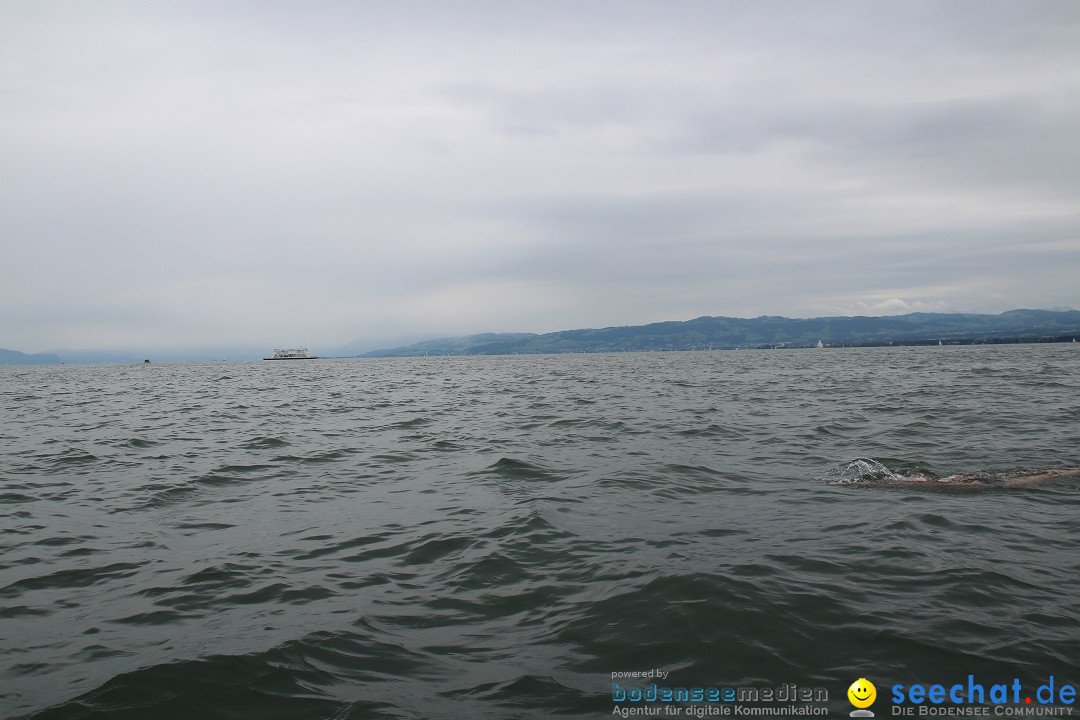 BODENSEEBOOT Breitenquerung, Harald Weyh: Romanshorn, 12.08.2016