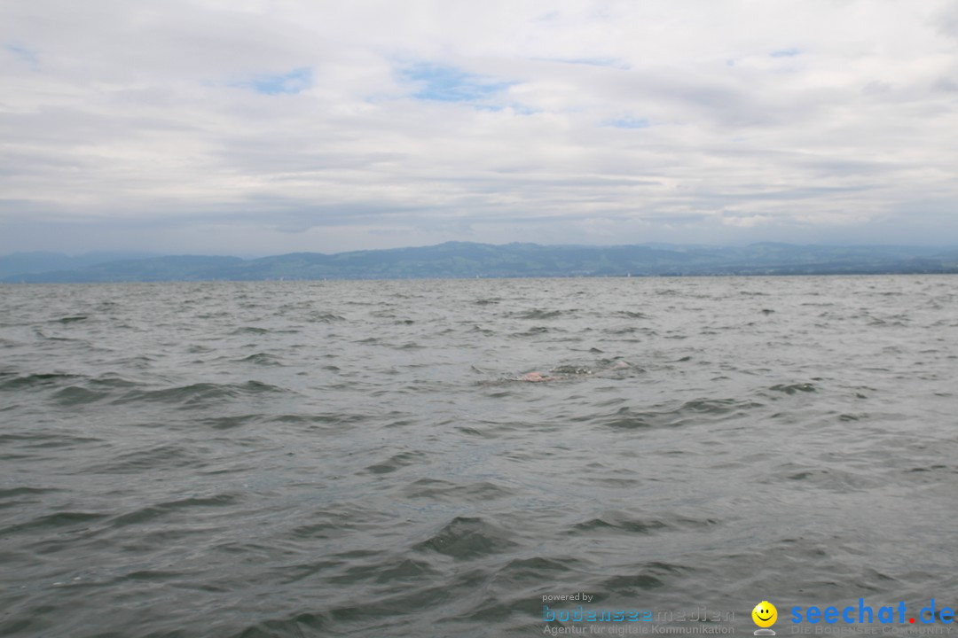 BODENSEEBOOT Breitenquerung, Harald Weyh: Romanshorn, 12.08.2016