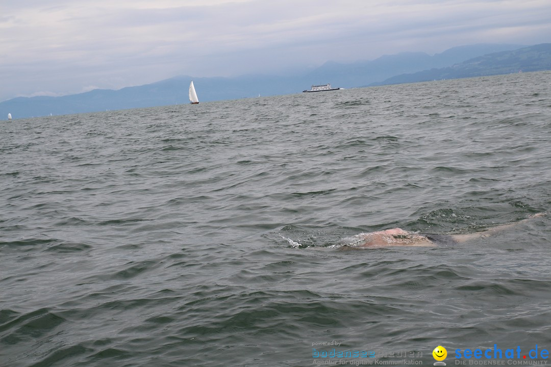 BODENSEEBOOT Breitenquerung, Harald Weyh: Romanshorn, 12.08.2016