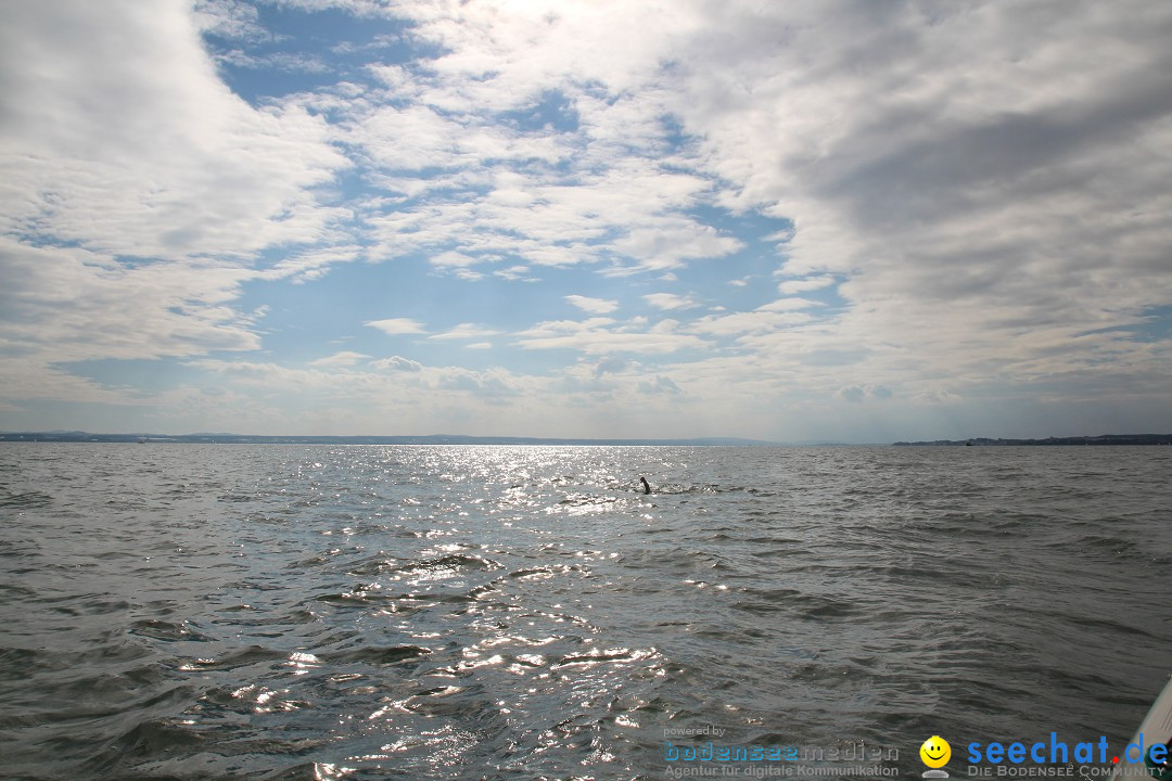 BODENSEEBOOT Breitenquerung, Harald Weyh: Romanshorn, 12.08.2016