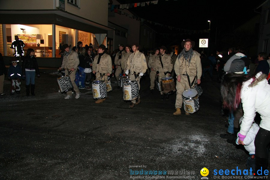 Nachtumzug - Weissenau bei Ravensburg, 16.01.2010