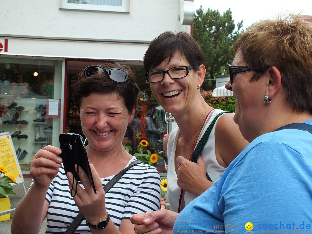 Schlossfest mit Flohmarkt: Aulendorf, 20.08.2016