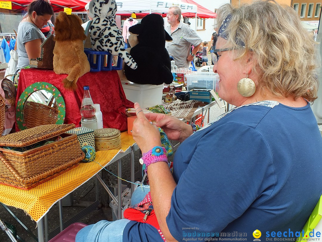 Schlossfest mit Flohmarkt: Aulendorf, 20.08.2016