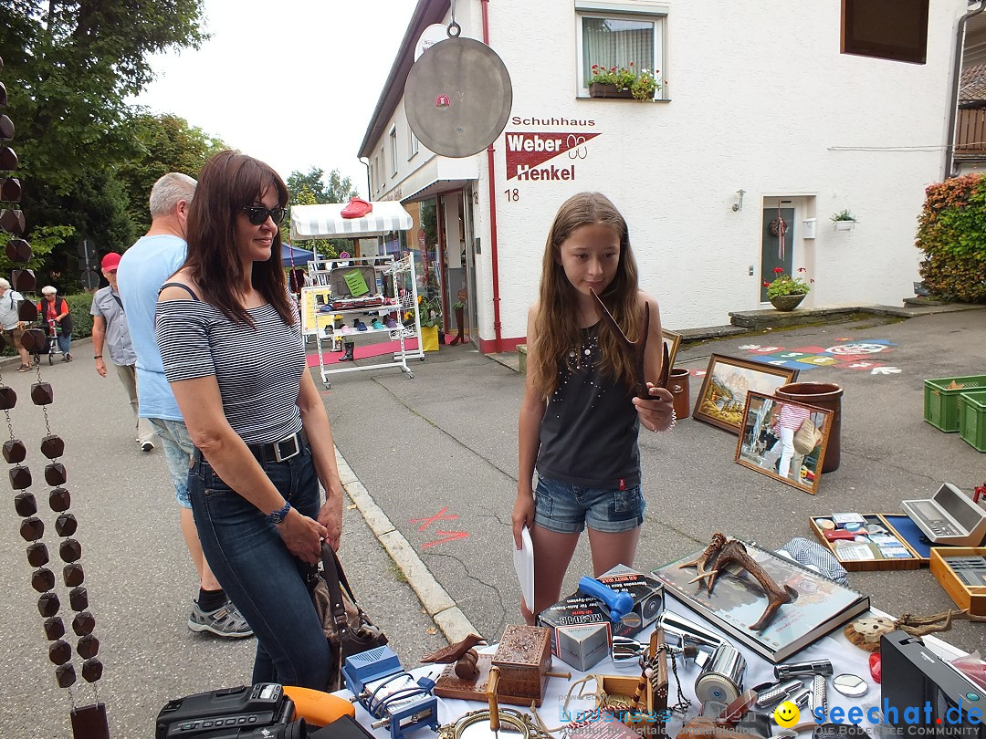 Schlossfest mit Flohmarkt: Aulendorf, 20.08.2016