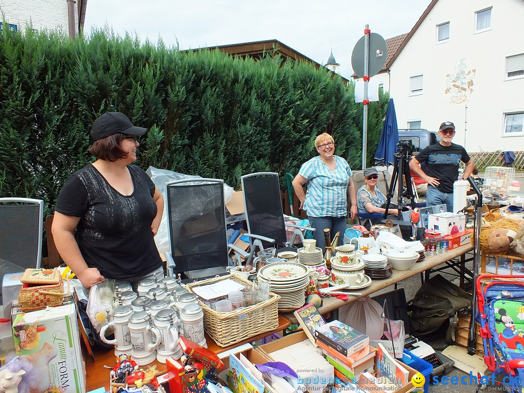 Schlossfest mit Flohmarkt: Aulendorf, 20.08.2016