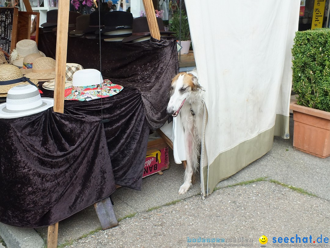 Schlossfest mit Flohmarkt: Aulendorf, 20.08.2016