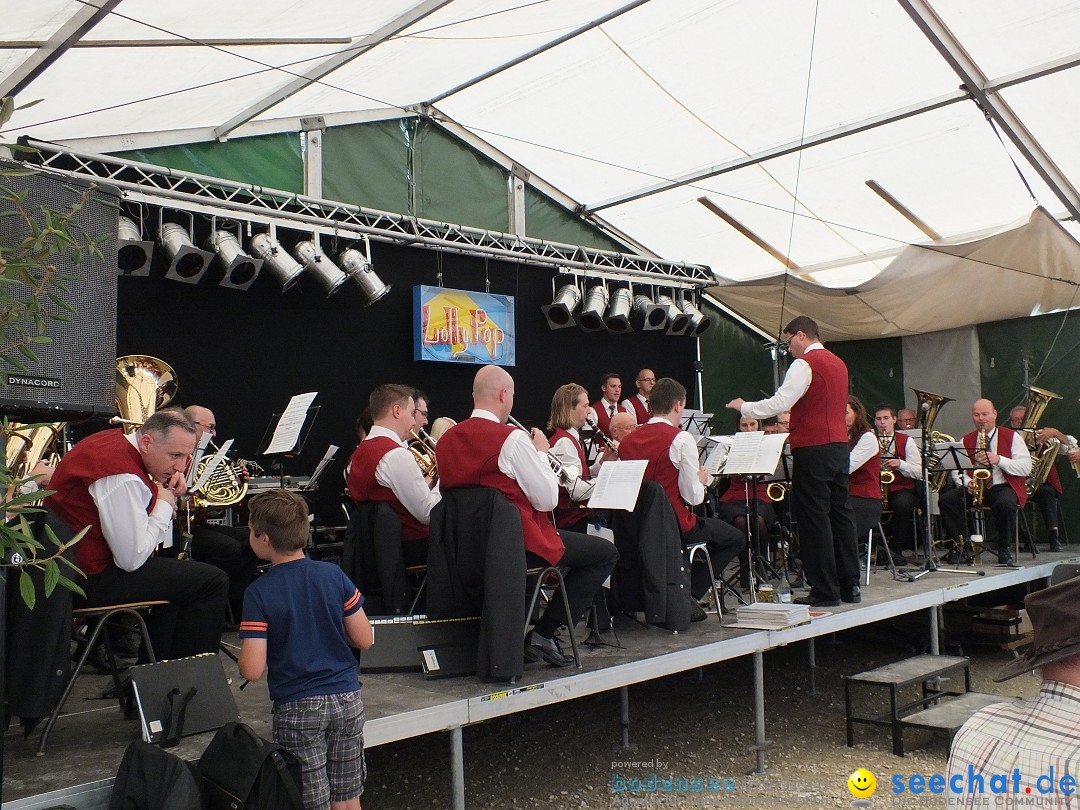 Schlossfest mit Flohmarkt: Aulendorf, 20.08.2016