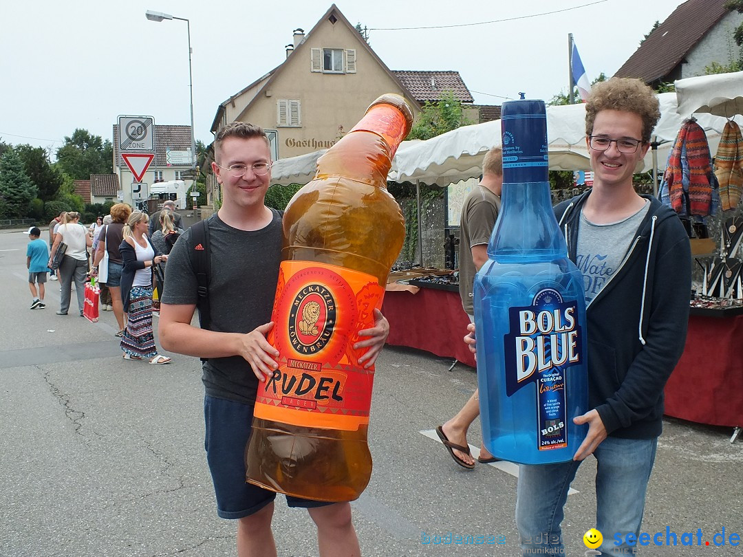 Schlossfest mit Flohmarkt: Aulendorf, 20.08.2016