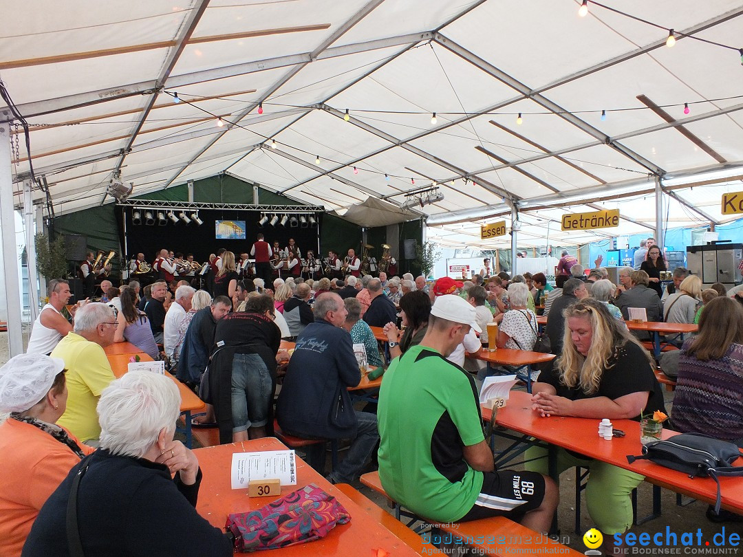 Schlossfest mit Flohmarkt: Aulendorf, 20.08.2016