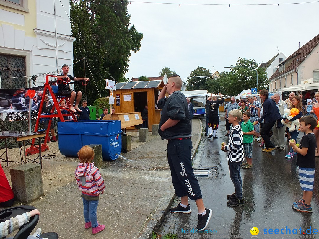 Schlossfest mit Flohmarkt: Aulendorf, 20.08.2016