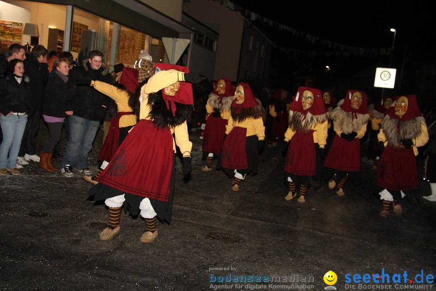 Nachtumzug - Weissenau bei Ravensburg, 16.01.2010