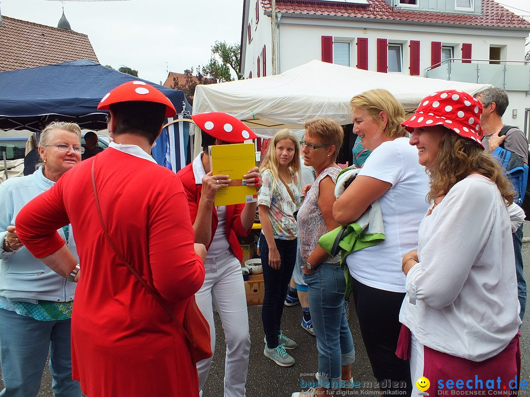 Schlossfest mit Flohmarkt: Aulendorf, 20.08.2016