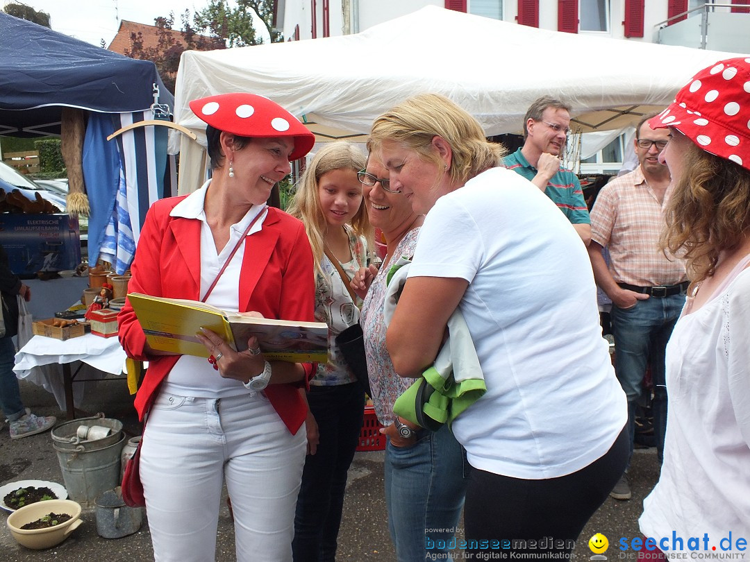 Schlossfest mit Flohmarkt: Aulendorf, 20.08.2016