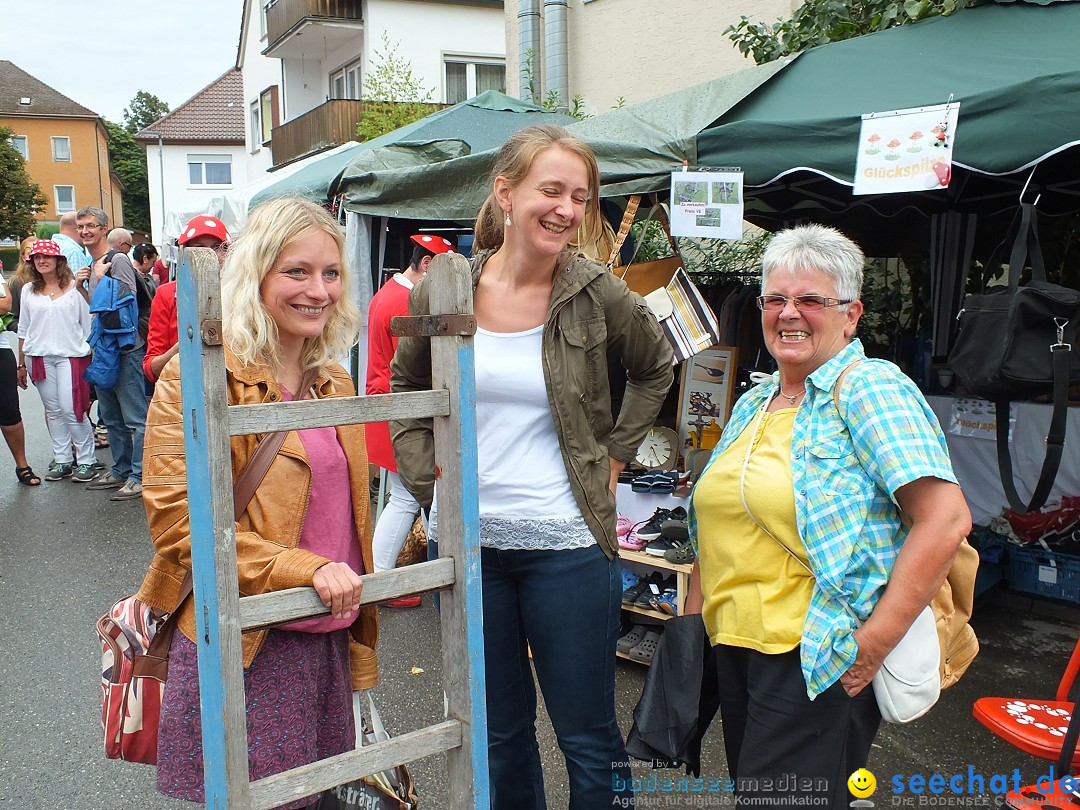 Schlossfest mit Flohmarkt: Aulendorf, 20.08.2016