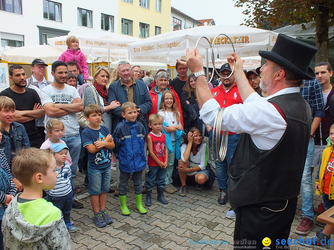 Schlossfest mit Flohmarkt: Aulendorf, 20.08.2016