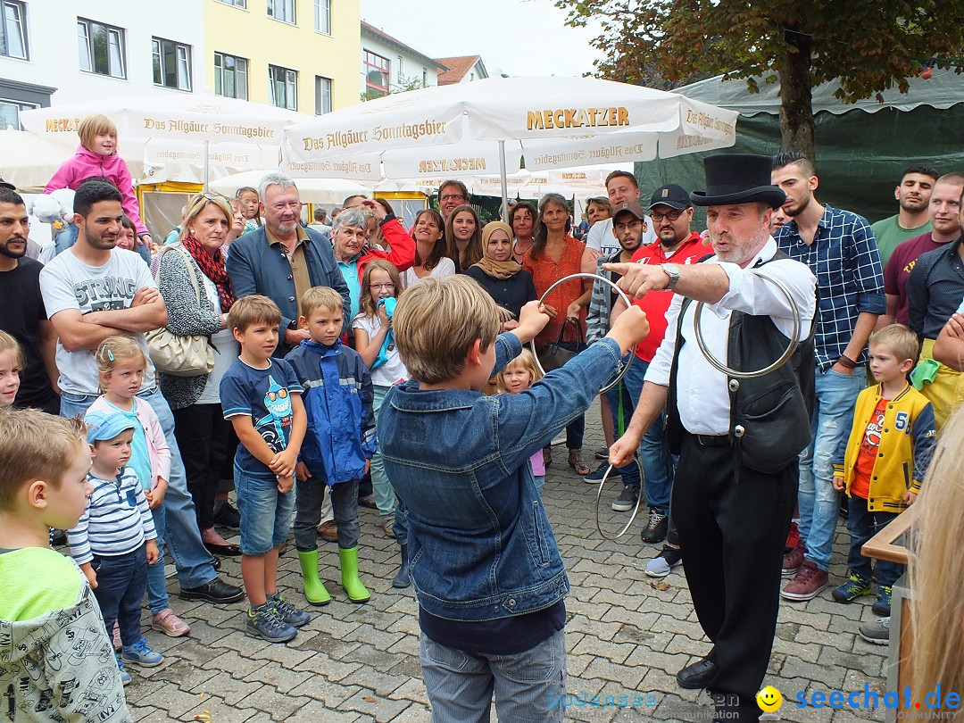 Schlossfest mit Flohmarkt: Aulendorf, 20.08.2016