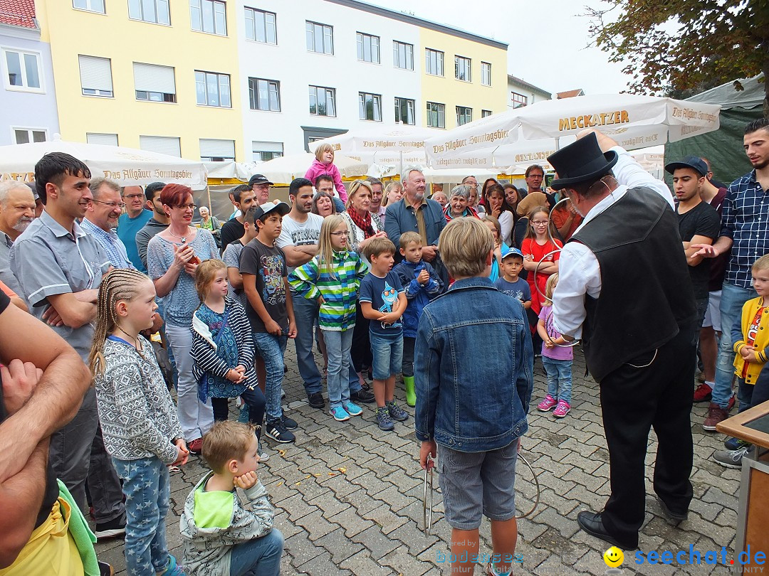 Schlossfest mit Flohmarkt: Aulendorf, 20.08.2016