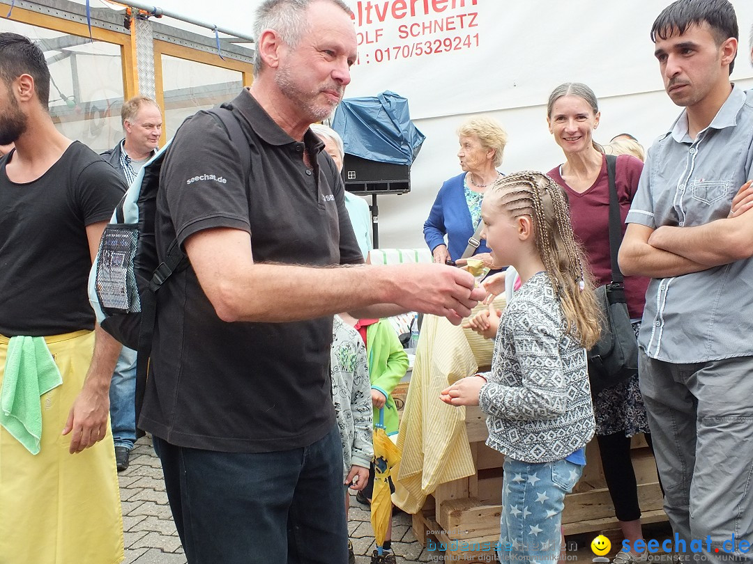 Schlossfest mit Flohmarkt: Aulendorf, 20.08.2016