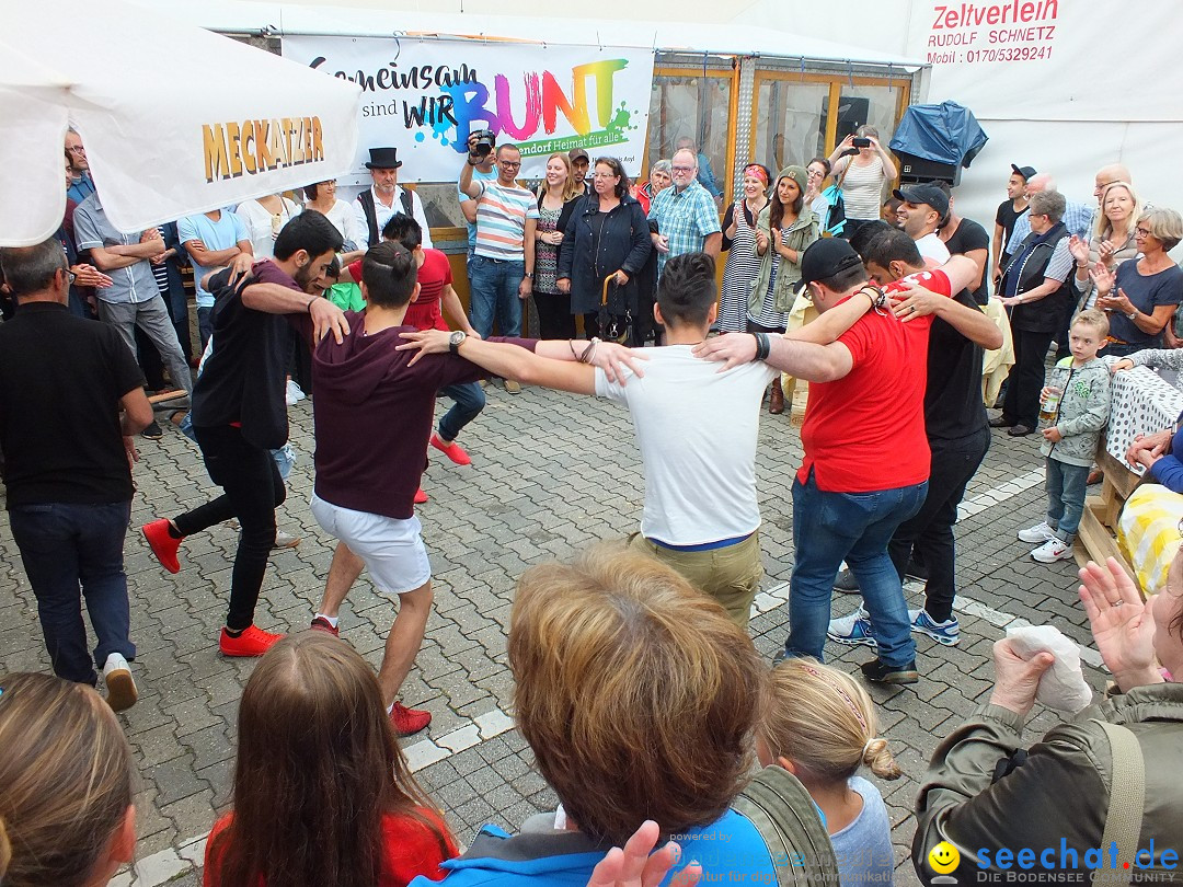 Schlossfest mit Flohmarkt: Aulendorf, 20.08.2016