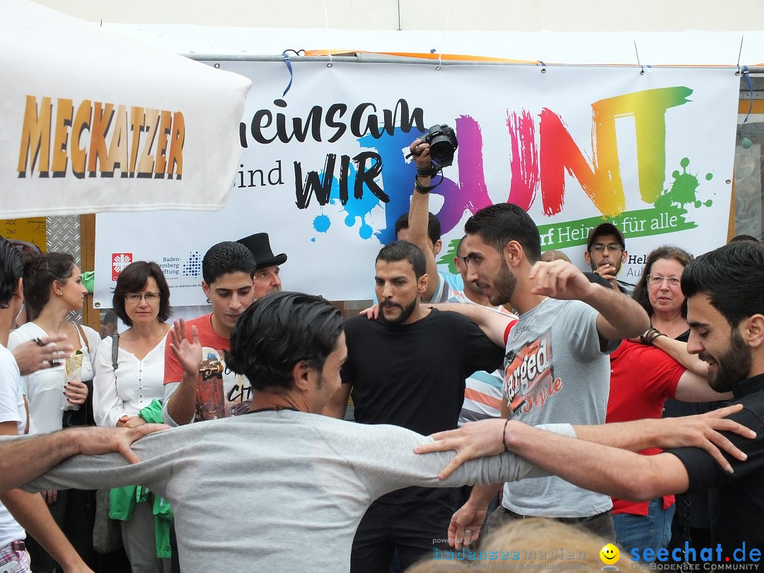 Schlossfest mit Flohmarkt: Aulendorf, 20.08.2016