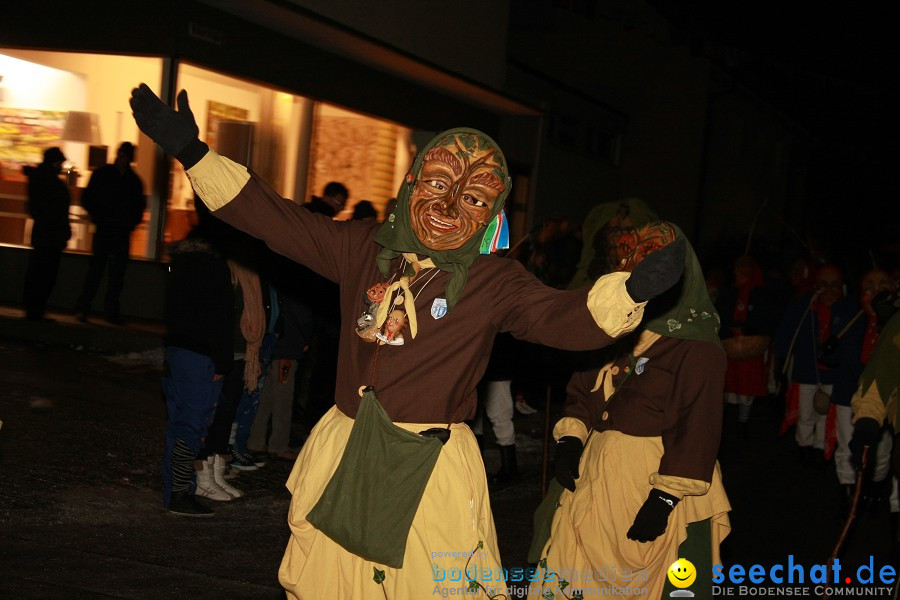 Nachtumzug - Weissenau bei Ravensburg, 16.01.2010