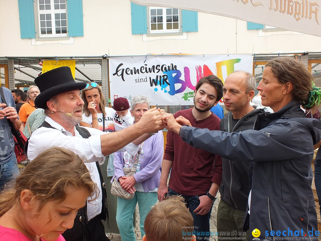 Schlossfest mit Flohmarkt: Aulendorf, 20.08.2016