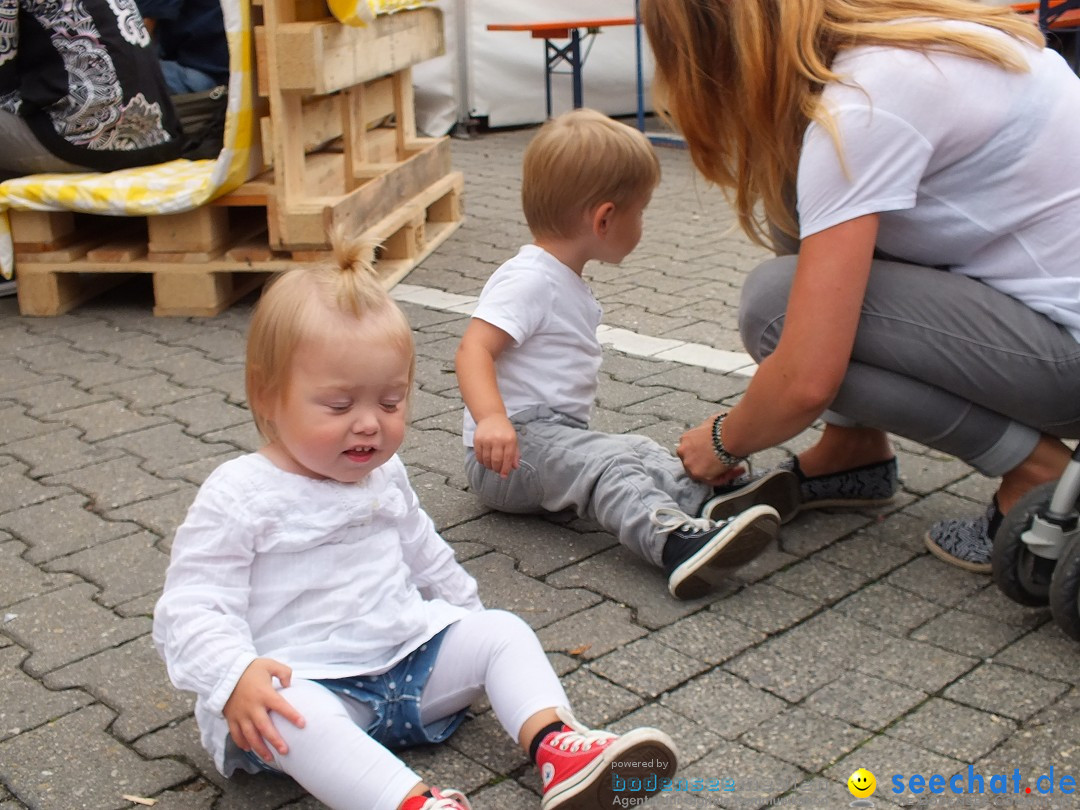 Schlossfest mit Flohmarkt: Aulendorf, 20.08.2016