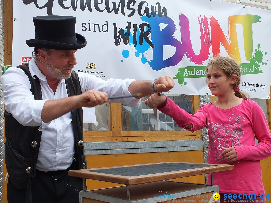 Schlossfest mit Flohmarkt: Aulendorf, 20.08.2016