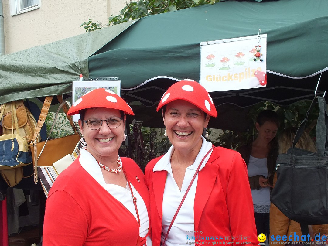 Schlossfest mit Flohmarkt: Aulendorf, 20.08.2016