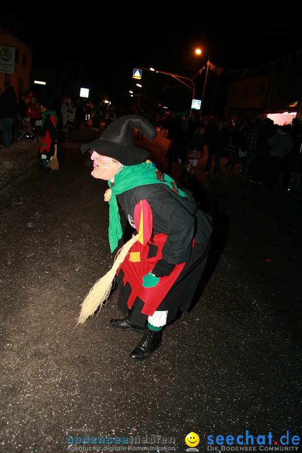 Nachtumzug - Weissenau bei Ravensburg, 16.01.2010