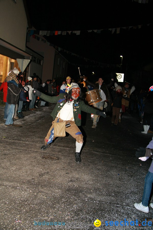 Nachtumzug - Weissenau bei Ravensburg, 16.01.2010