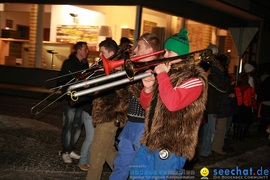 Nachtumzug - Weissenau bei Ravensburg, 16.01.2010